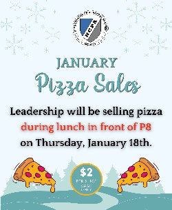 january pizza sales